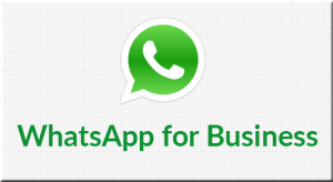 Versão teste do WhatsApp Business chegou